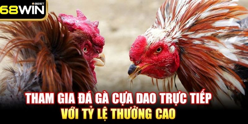 Giới thiệu 4 hình thức thi đấu phổ biến